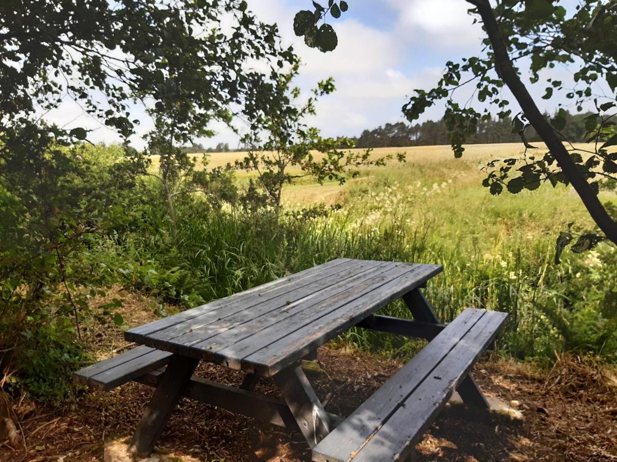 Rejkjaer Camping Hytter & Lejligheder Ulfborg Exterior photo