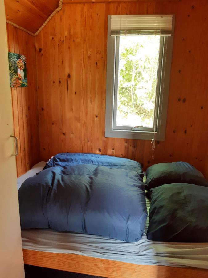 Rejkjaer Camping Hytter & Lejligheder Ulfborg Exterior photo